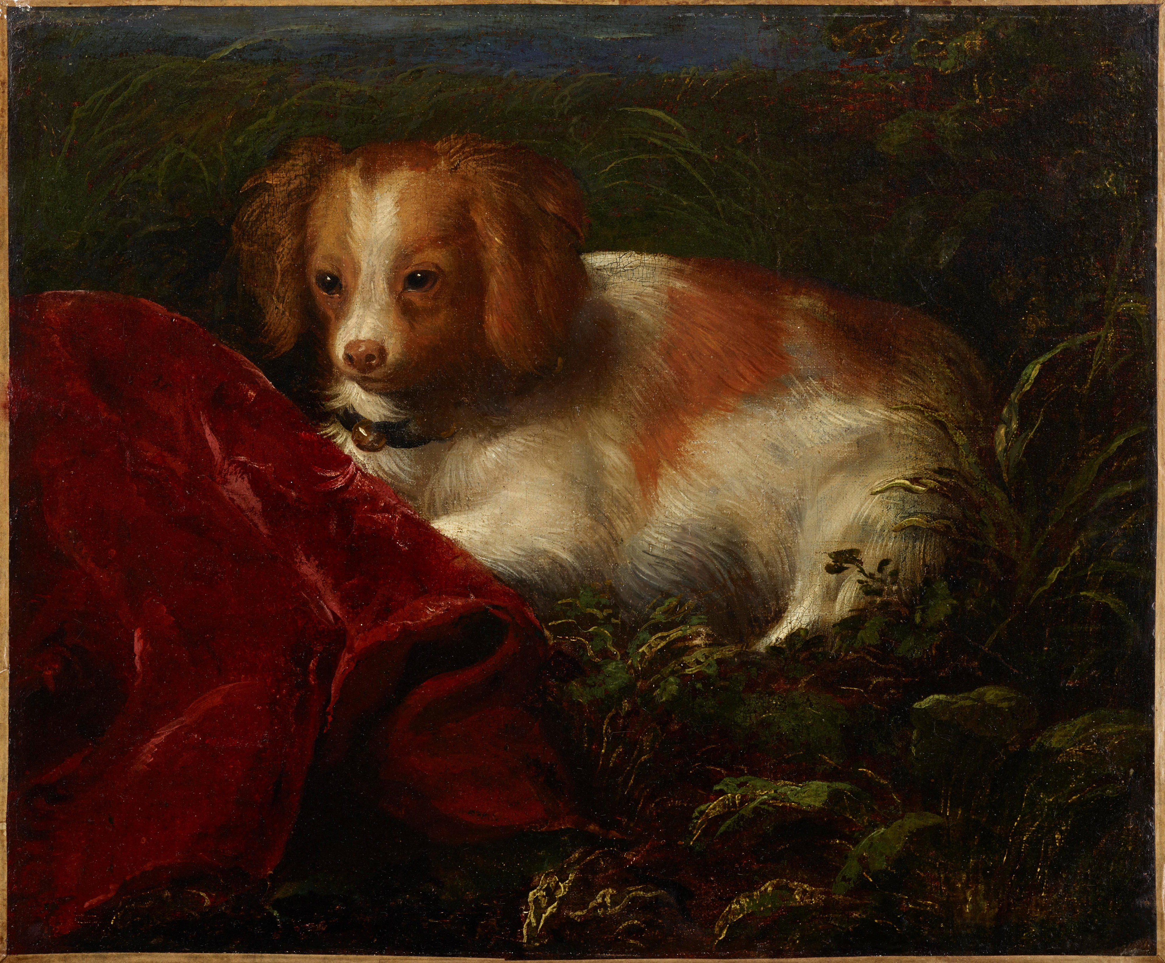 A Cavalier King Charles Spaniel seated in a landscape